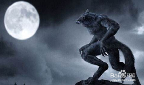 Mathematica基础——图片的共形变换