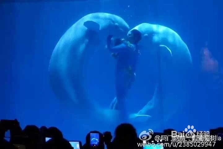 雪国风光—冬季结伴去哈尔滨吧！：[2]哈尔滨