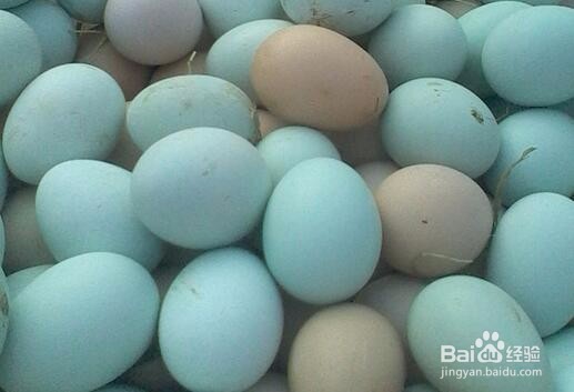 <b>绿壳鸡蛋的食用价值</b>