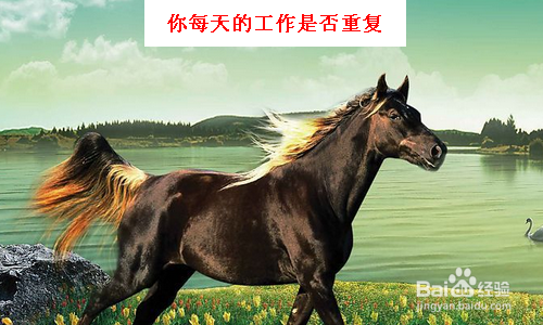 薪水不涨职务不升？如何判断自己是不是千里马？