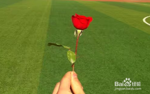 春节被亲戚催婚了怎么应对