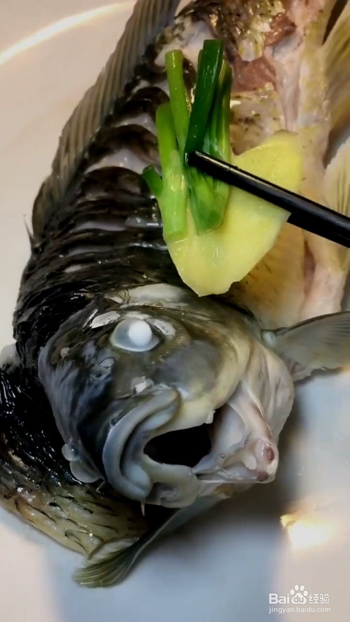 清蒸鲫鱼如何弄