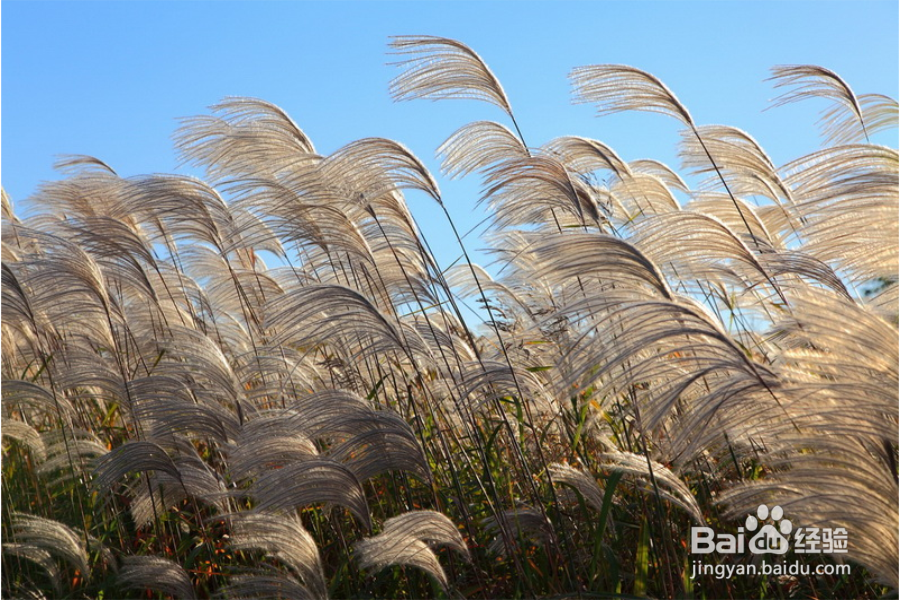 钓鱼需要注意什么