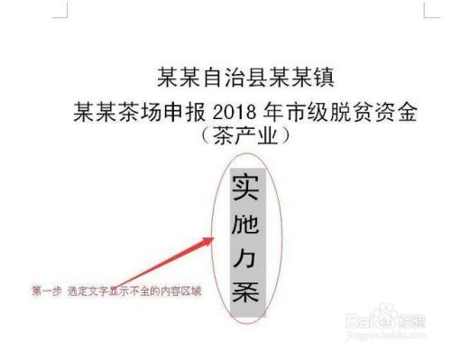 world文档中表格文字显示不全