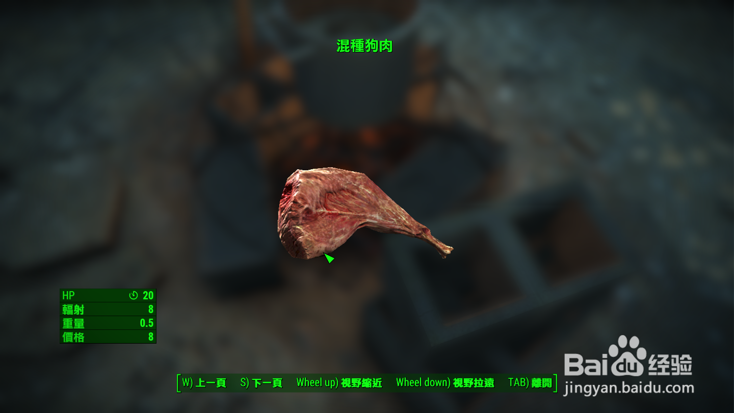 辐射4杂种狗肉排如何制作