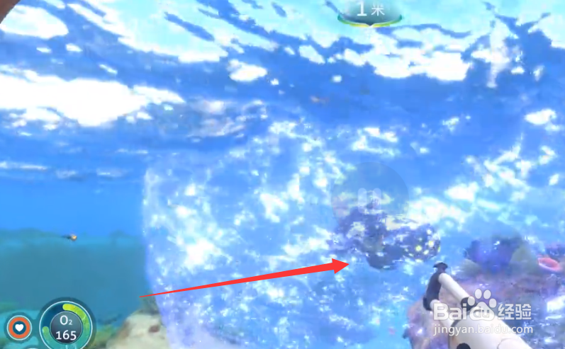 深海迷航毒气囊怎么获得