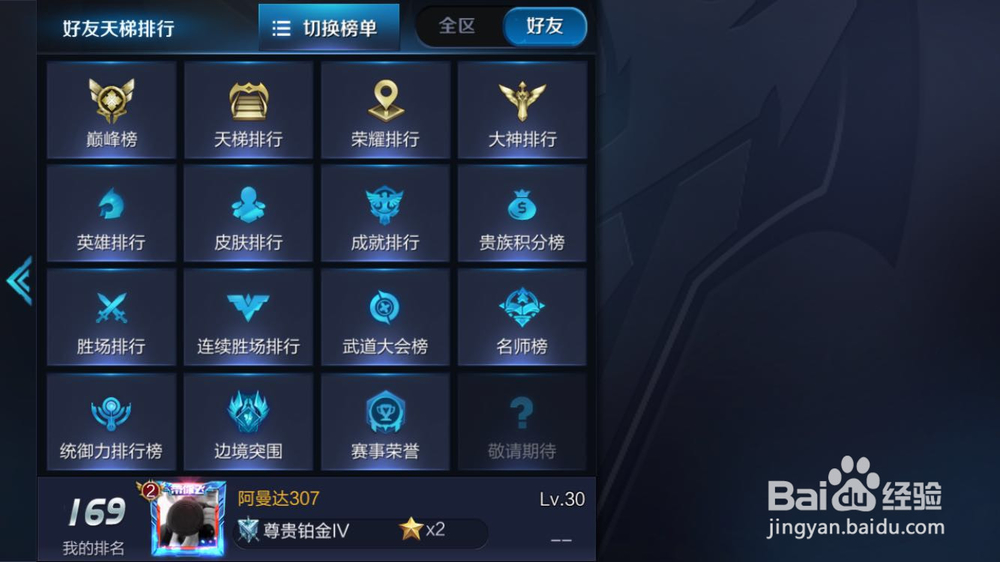 王者荣耀隐藏玩家是什么