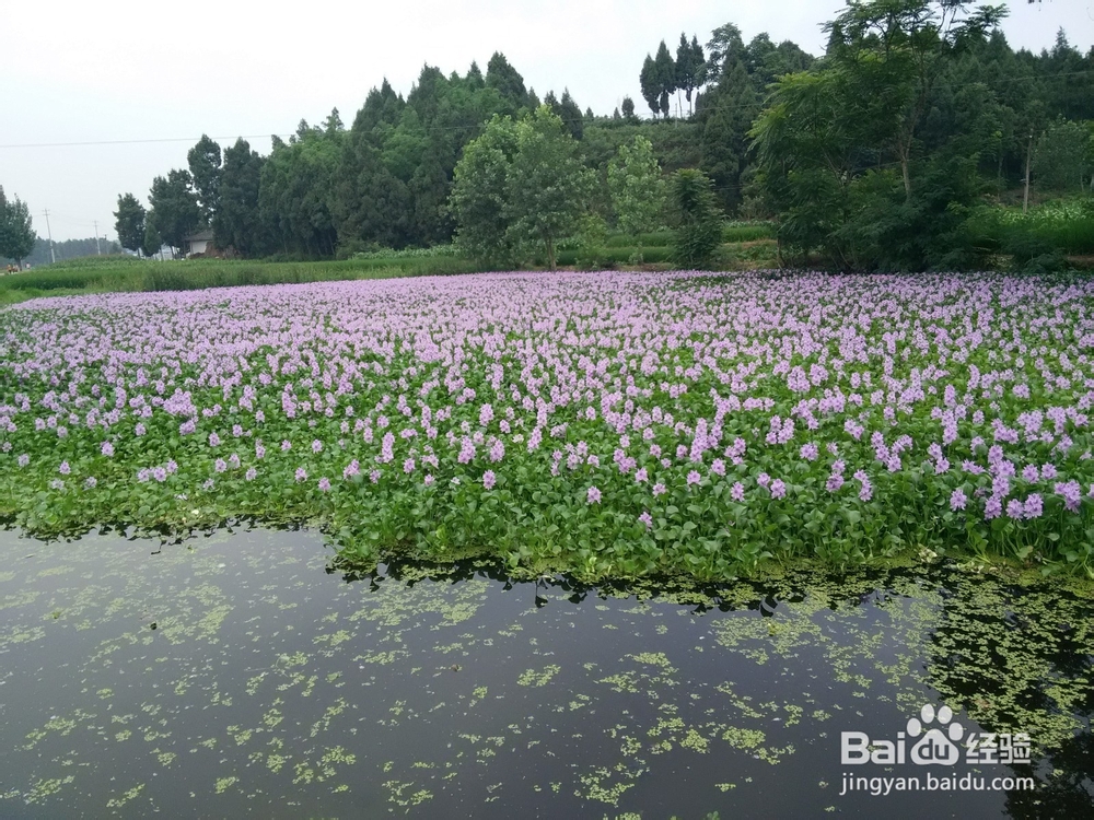 如何定格生活中的小元素?