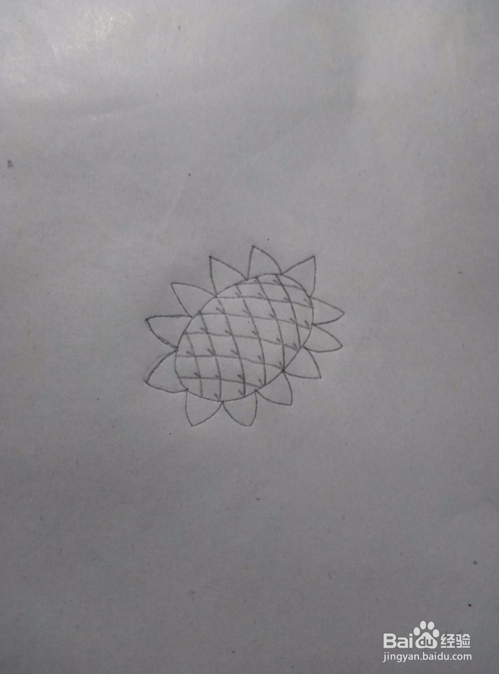 向日葵的简笔画教程