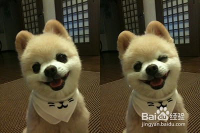 怎么用笑话吸引女性目光