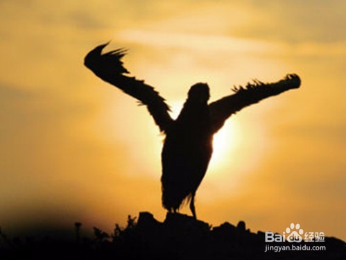 困难面前如何克服自己,勇敢前行?