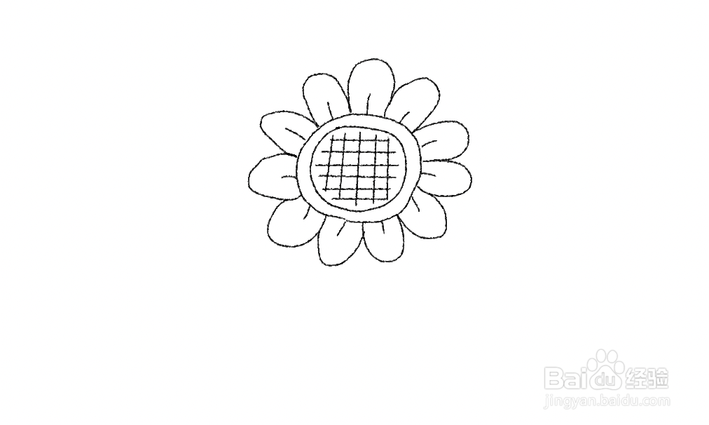 太阳花怎么描绘