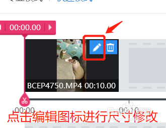 如何设置视频格式和分辨率
