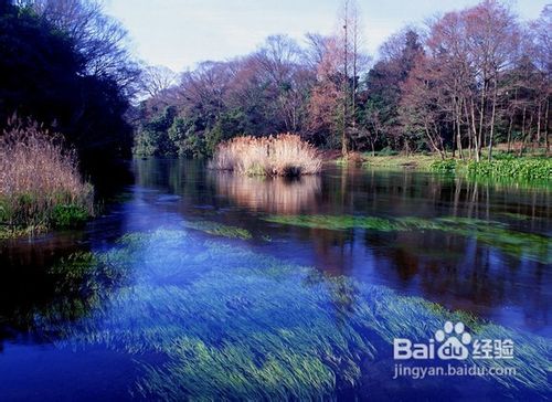 九寨沟四日游特价线路推荐