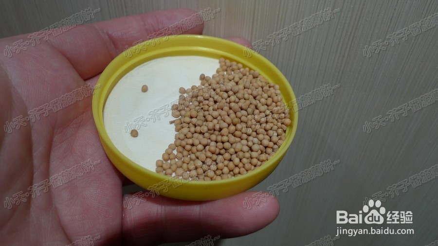 芥子番茄薄饼的做法