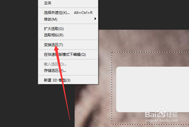 在Photoshop中选中选区后怎么对选区变换呢