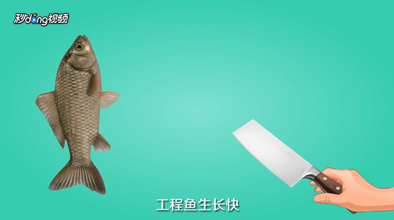 土鲫鱼怎么区别？