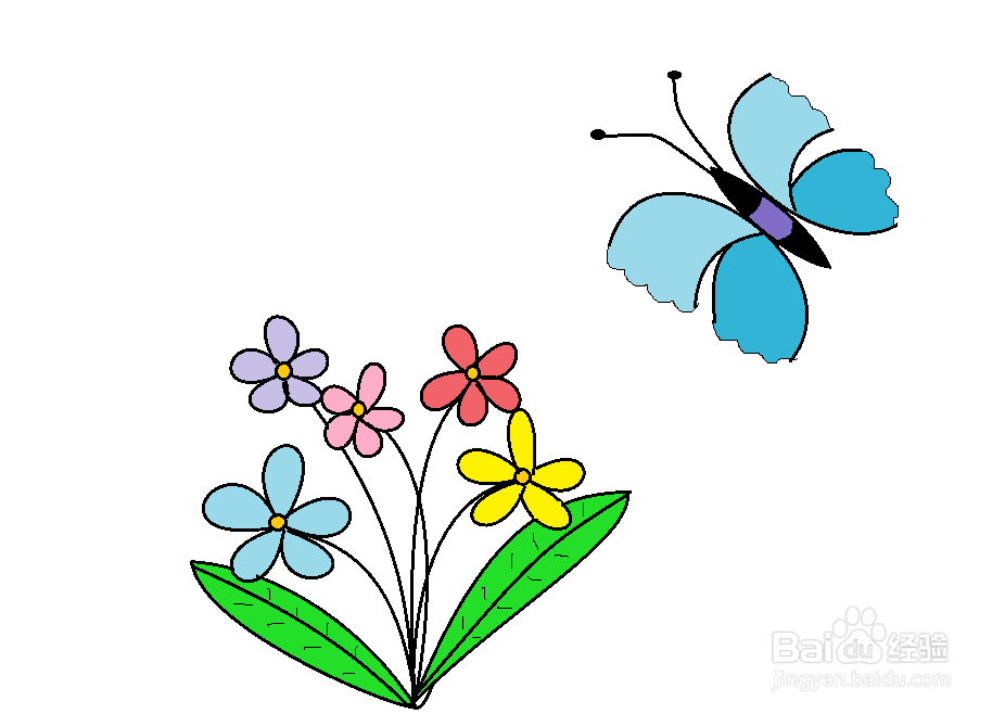 蝴蝶的简笔画采花图片
