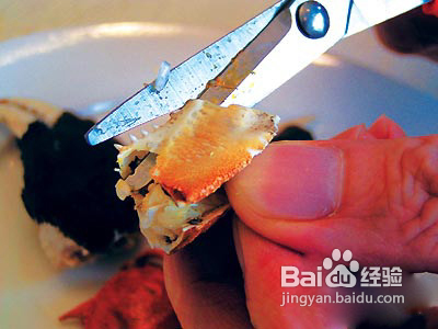 大闸蟹怎么吃之完美法十步法