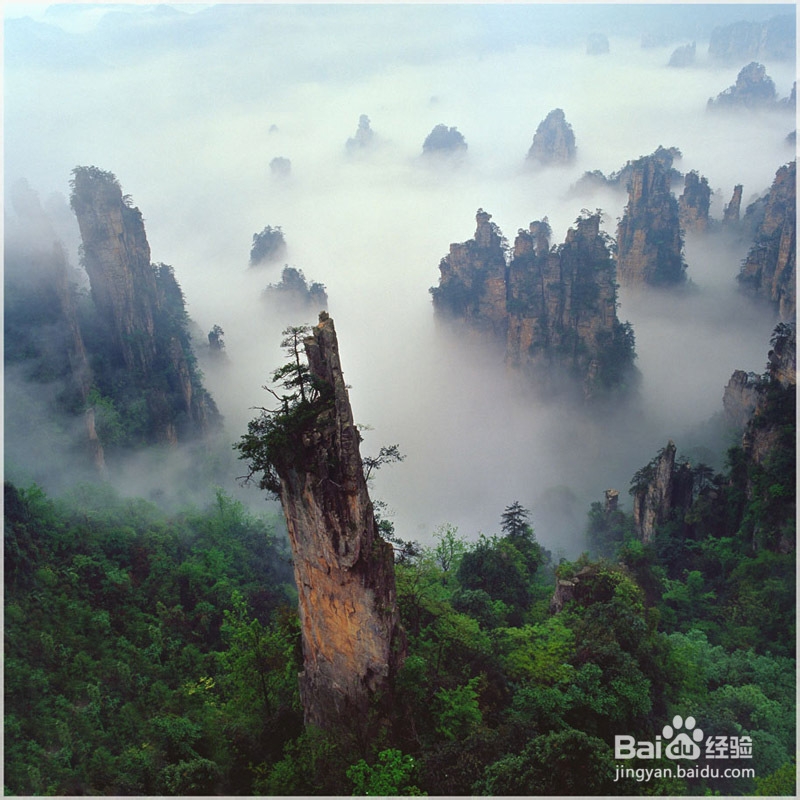 去张家界旅游多少钱