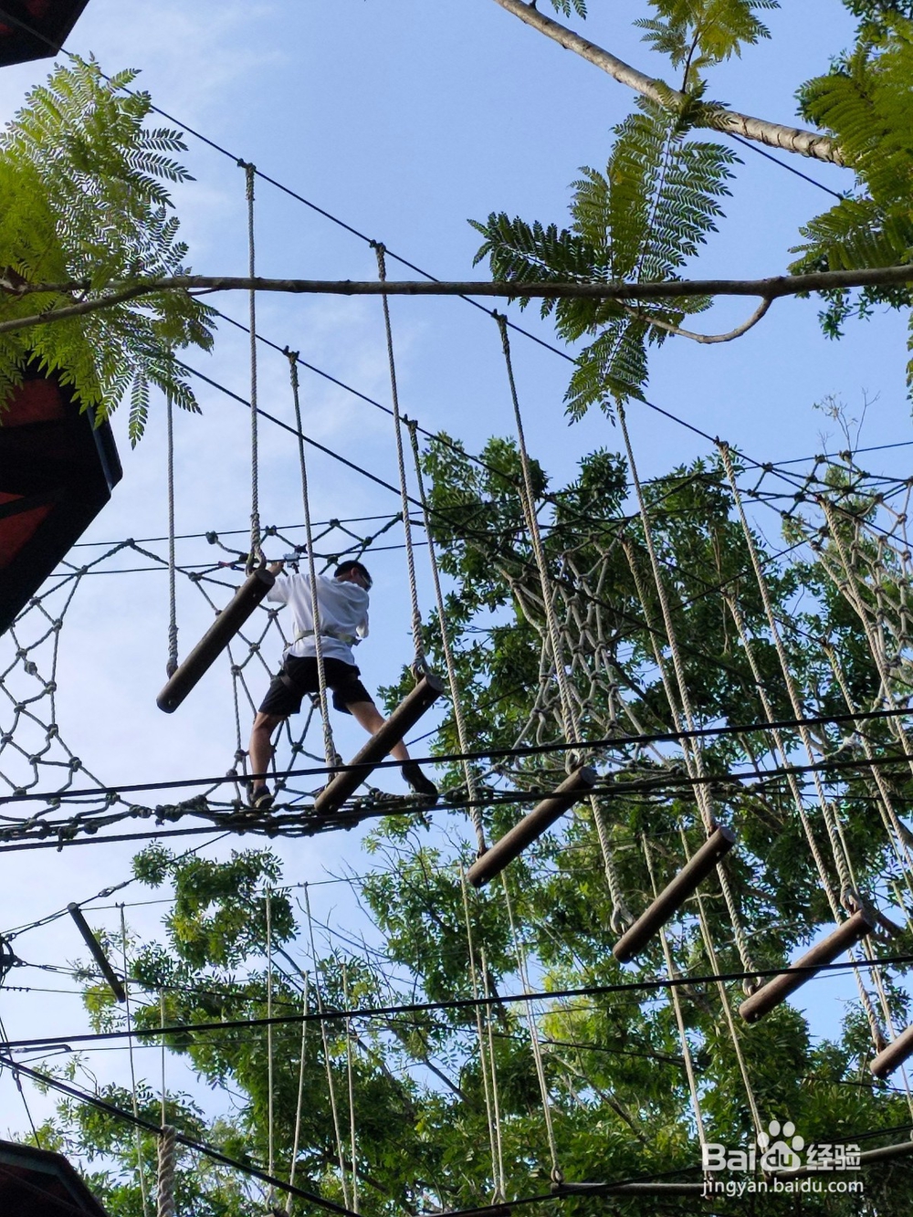 第一出国游马来西亚