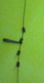 钓鱼入门必修课程（二）大线上的第二个环节