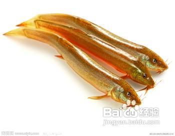 再生障碍性贫血怎么办？