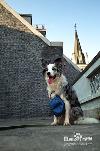 浪漫的上海泰晤士小镇游记攻略