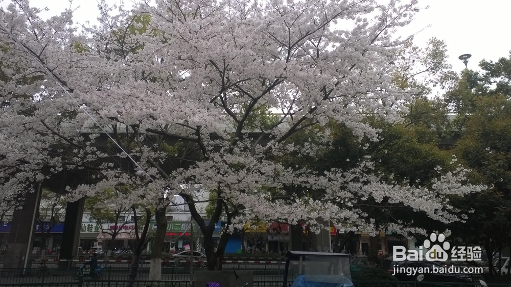 女孩微信朋友圈自拍怎么评论