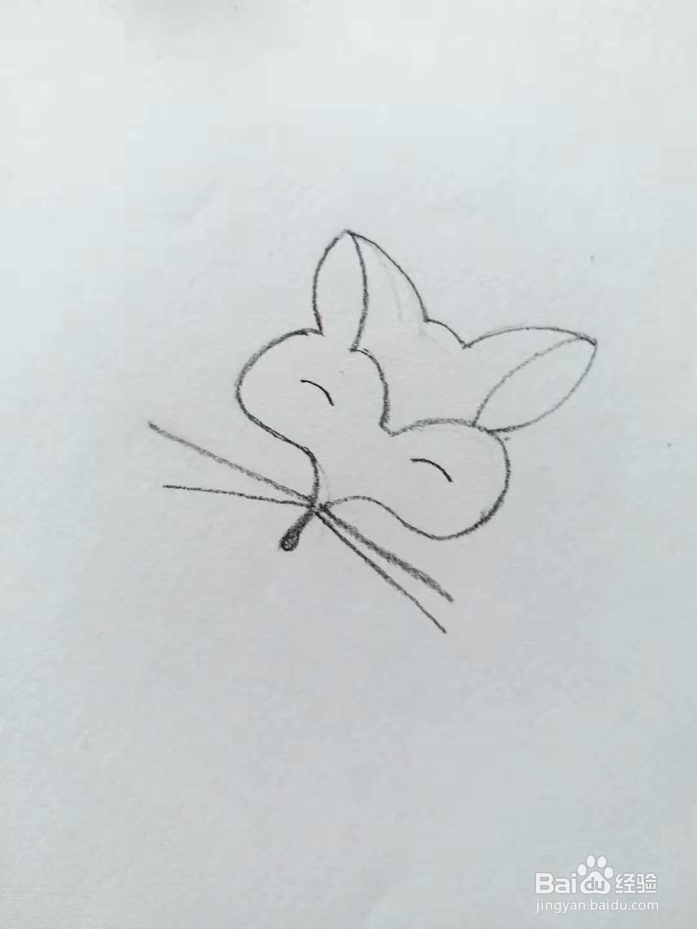 狐狸的简笔画法（三）