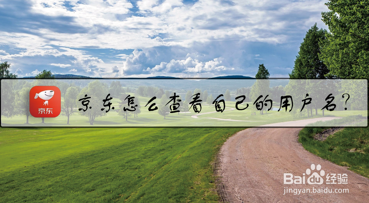 京东怎么查看自己的用户名