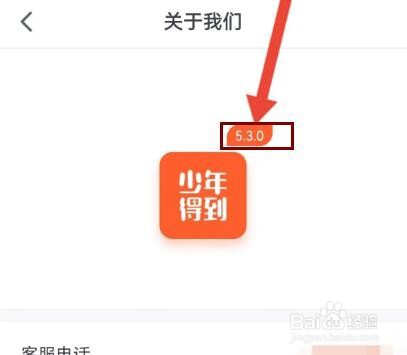 怎么查看少年得到的当前版本
