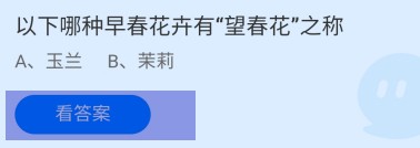 哪种早春花卉有