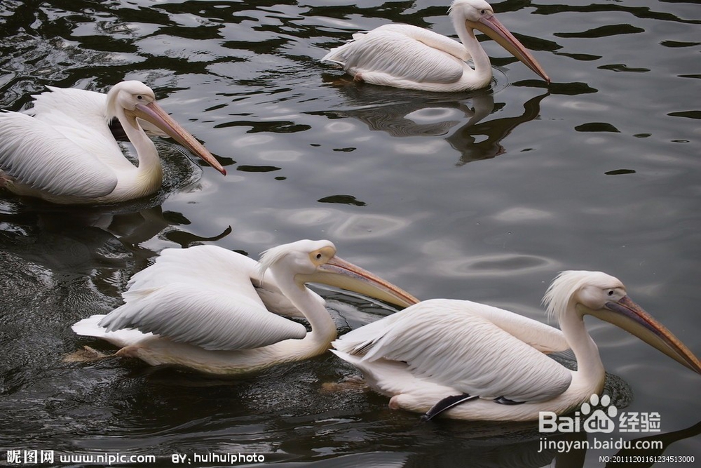 小学生如何才能学好数学