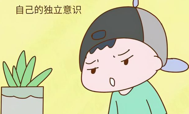 自主意识是什么意思