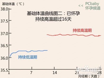 7种基础体温曲线图解读