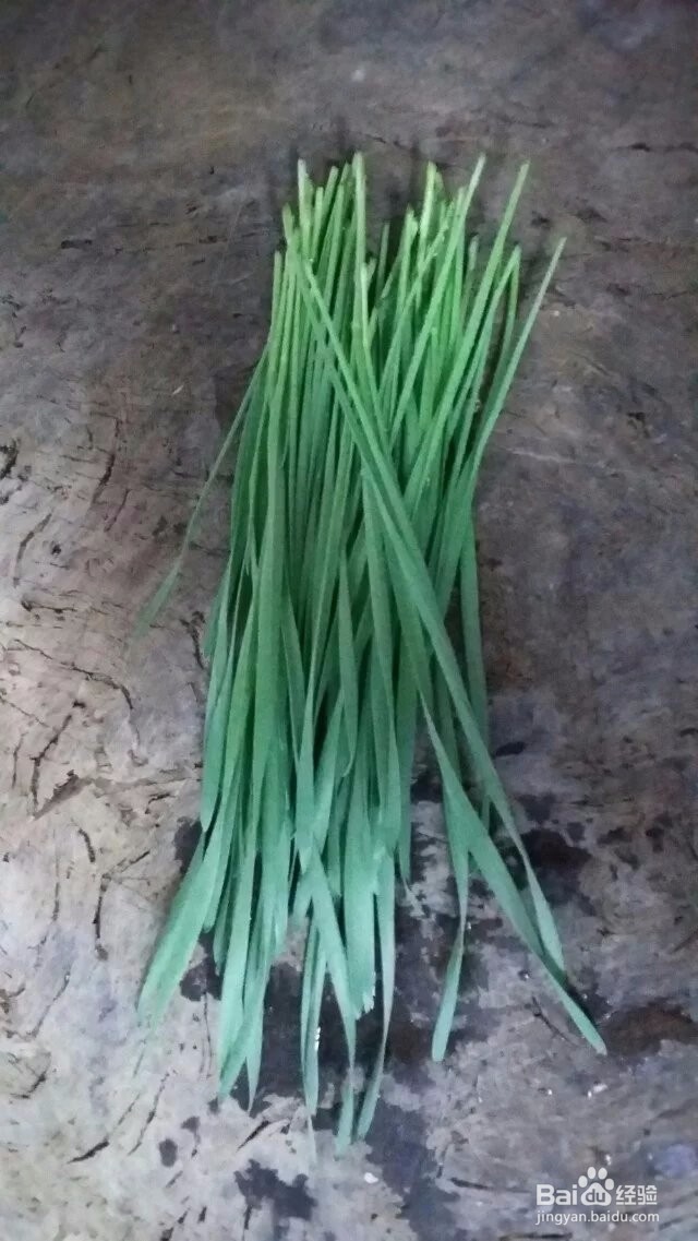 自制麦苗青汁