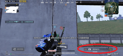 和平精英如何观战