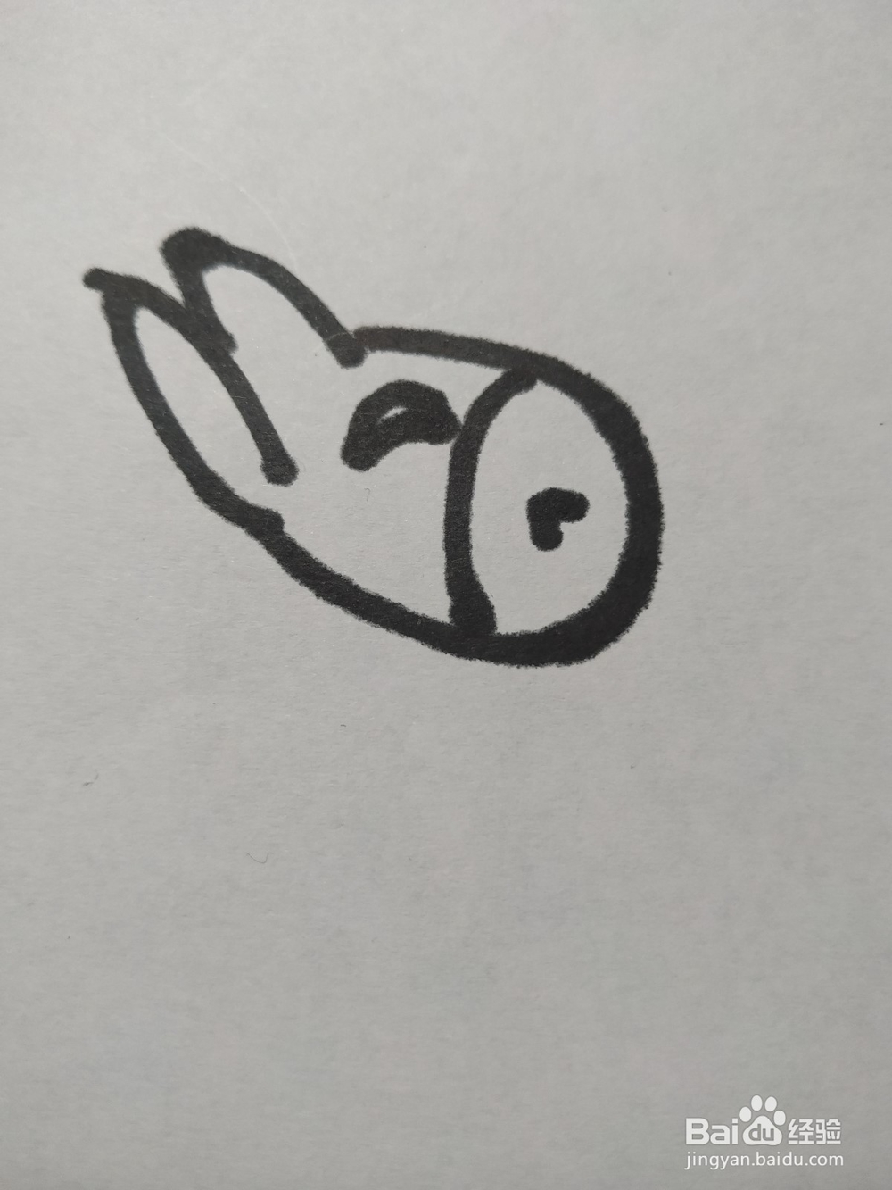 毛驴的简笔画技法八