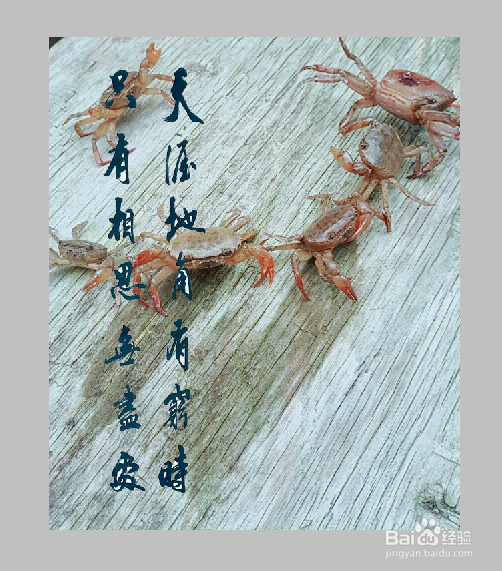 如何使用魔棒进行抠图呢