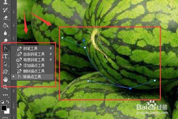 PS钢笔工具抠图教程。