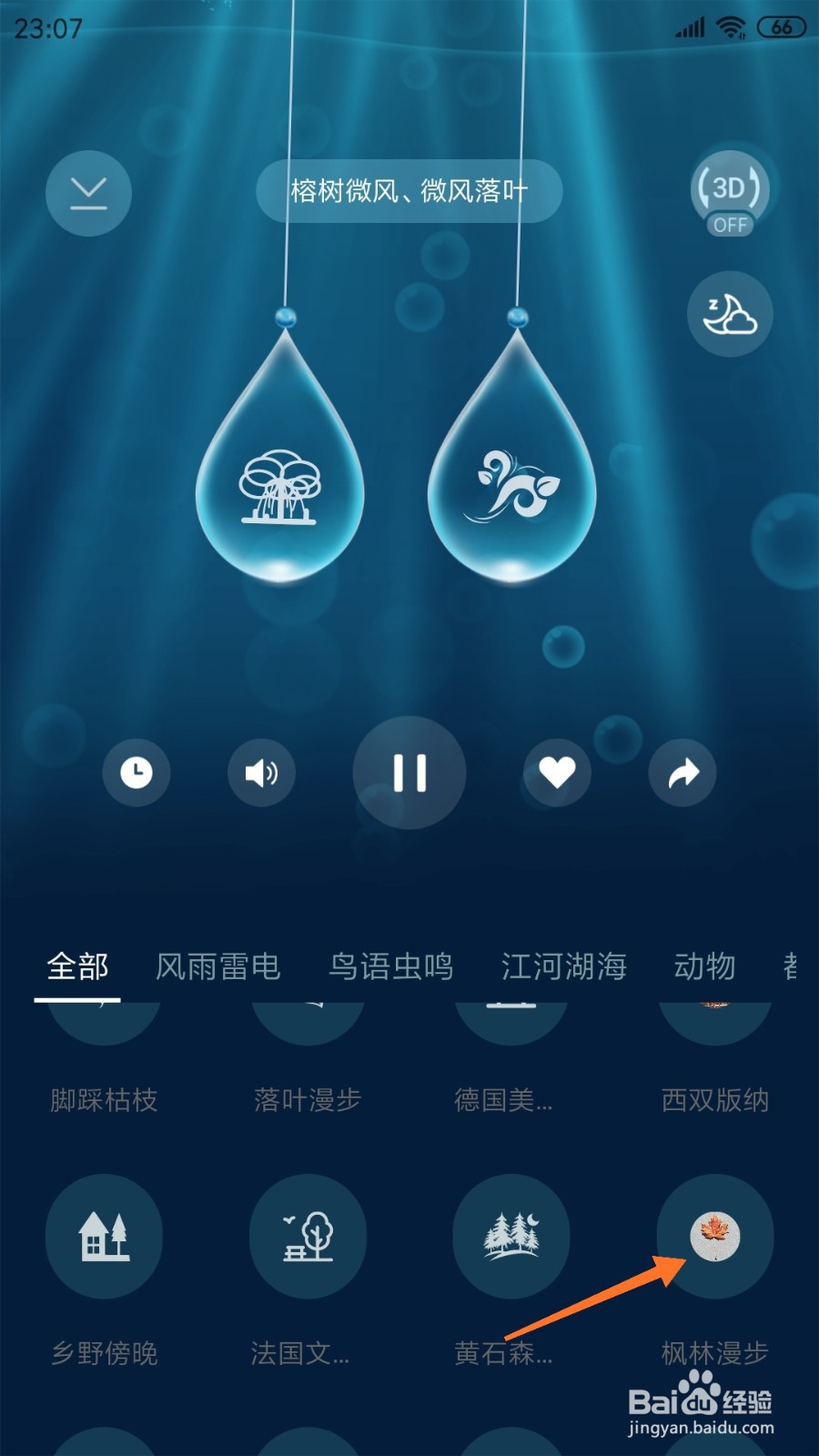 涟漪中怎么查看枫林漫步