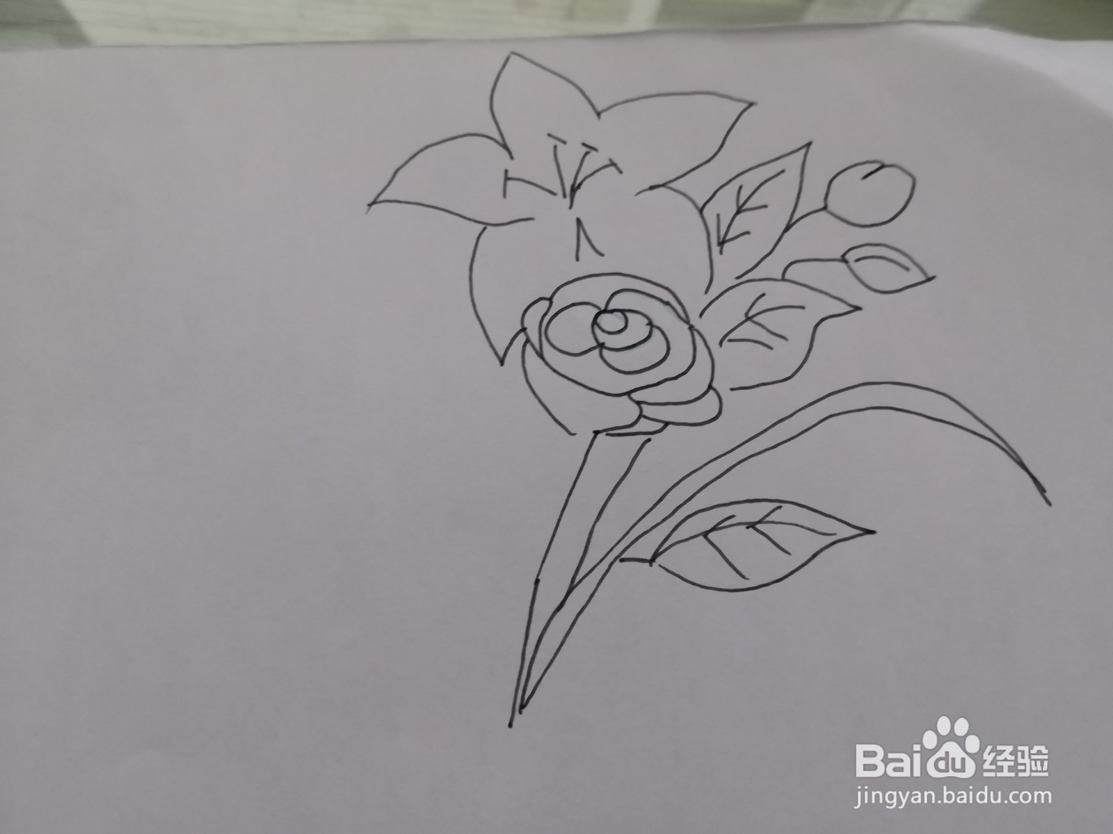 简笔画花朵图片