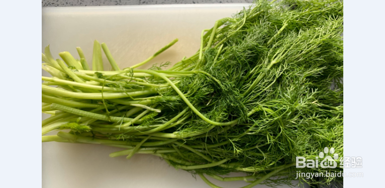 小茴香菜包饺子做法