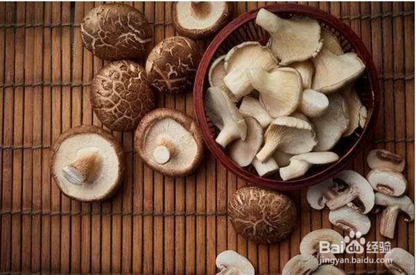 香菇都有哪些营养对人体都有哪些益处