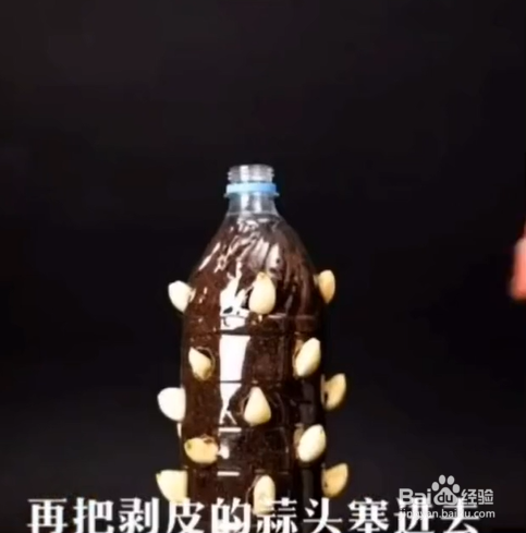 在生活中的种植的小妙招