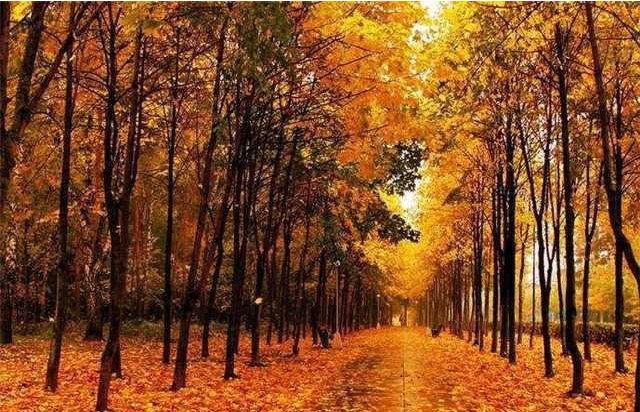 为什么秋天的时候老是容易犯困