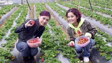 怎样约会,这9个idea更能让感情保鲜,NO看、吃