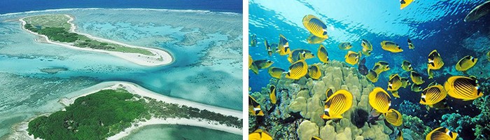 双城记 :悉尼+凯恩斯浪漫之旅