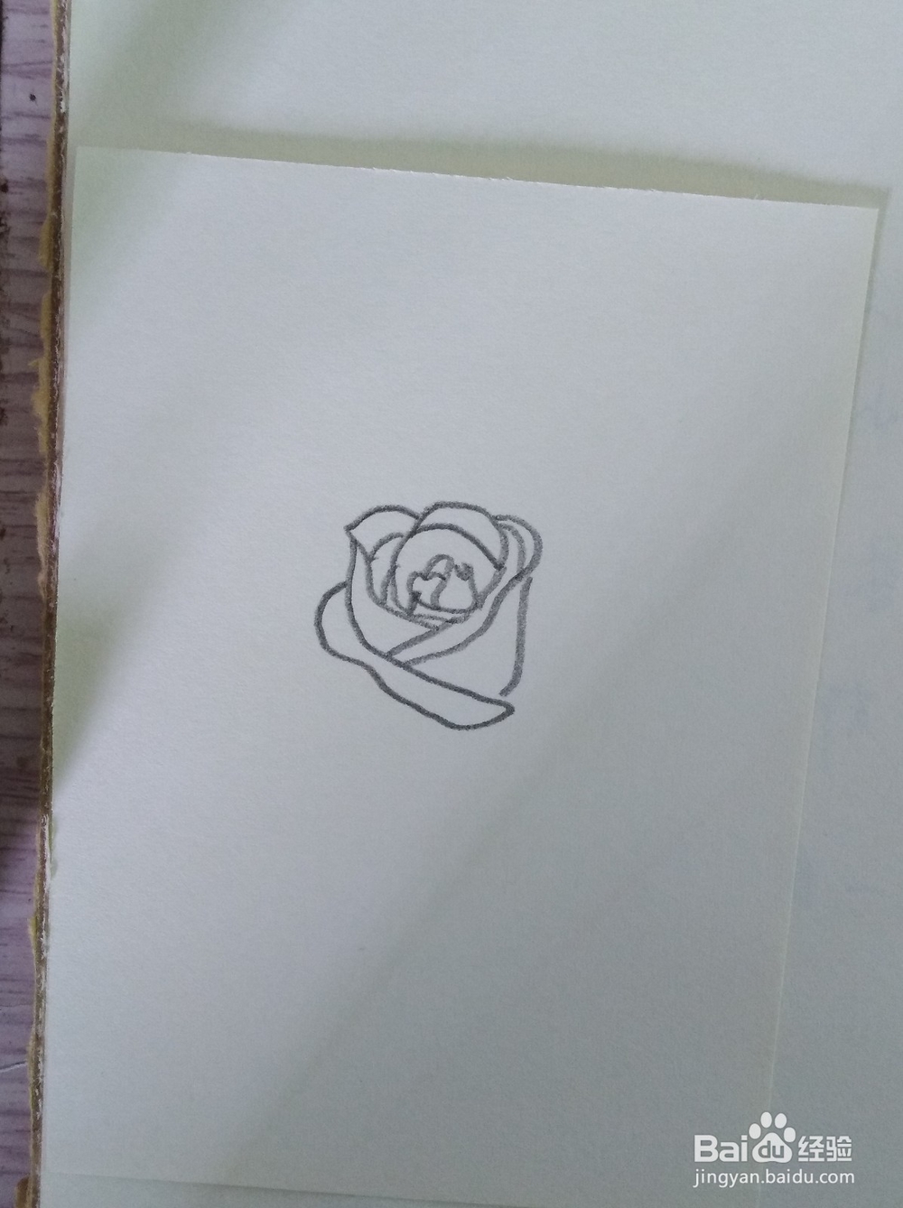 简笔画画玫瑰花
